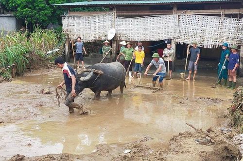 Chung tay, chung sức khắc phục hậu quả sau lũ ở miền Trung