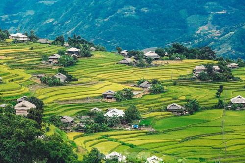Ngất ngây cảnh sắc 'thiên đường' ruộng bậc thang ở Hoàng Su Phì