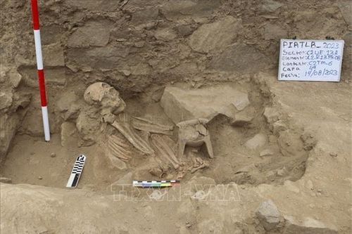 Phát hiện địa điểm thờ cúng tổ tiên thời tiền Inca ở Peru