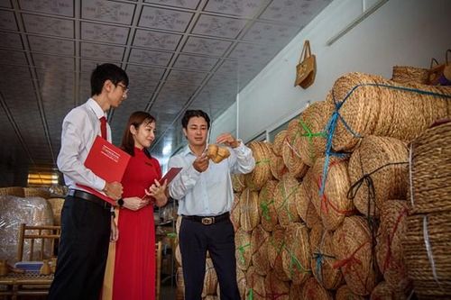 Xây dựng cơ chế thí điểm thúc đẩy tín dụng và bảo hiểm theo chuỗi liên kết