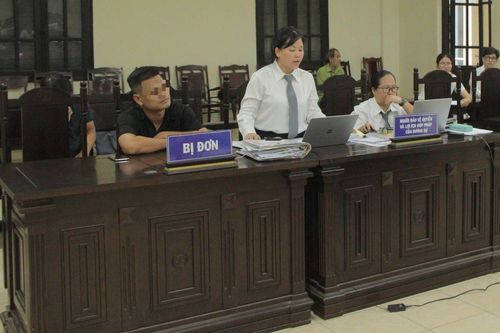Vì mảnh đất 'ông cha', cô kiện cháu