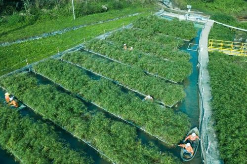 Phát triển xanh hướng đến Net Zero carbon: Bài 2 - Các ngành sản xuất 'chuyển mình' theo hướng xanh