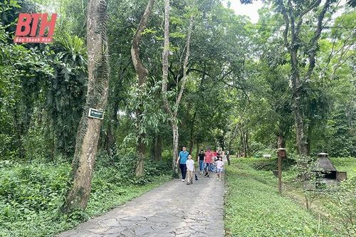 Du lịch có trách nhiệm gắn với bảo tồn thiên nhiên: Cách làm của các điểm đến