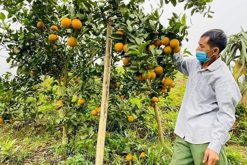 Thi đua học tập, rèn luyện theo gương Bác ở Nậm Pồ