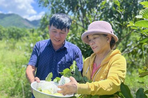 Khi nông dân được vinh danh