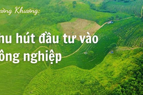 Mường Khương thu hút đầu tư vào nông nghiệp