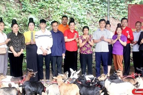 Tặng dê giống cho hộ nghèo, cận nghèo