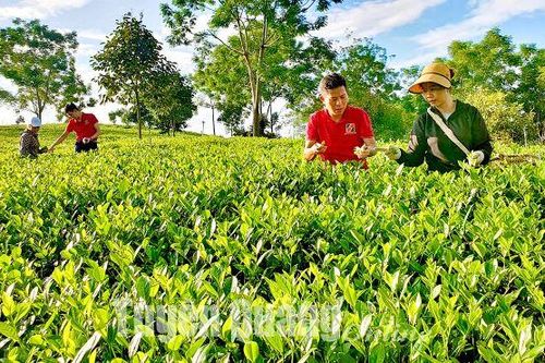 Agribank hỗ trợ phát triển sản phẩm OCOP