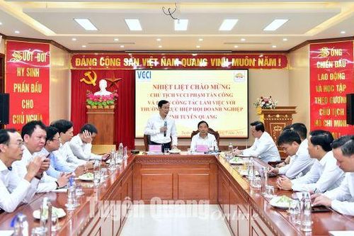 Đoàn công tác của VCCI làm việc với Hiệp hội doanh nghiệp tỉnh