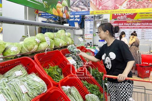 Phát triển nông nghiệp công nghệ cao theo hướng nào? (bài 4)
