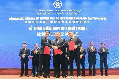 Sữa chua Vinamilk tính đường tham gia 'miếng bánh thị trường' tỷ đô tại Trung Quốc