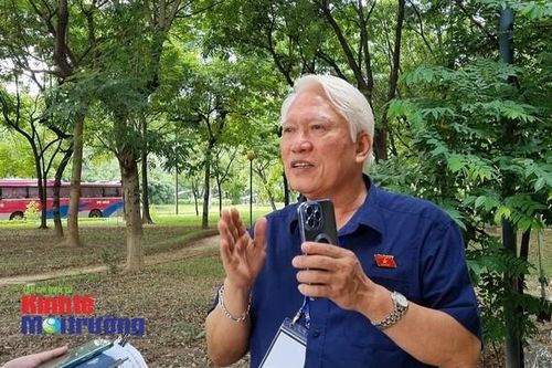 Đất đá thải mỏ sẽ hủy hoại môi trường nếu sử dụng thiếu giải pháp kỹ thuật (Bài 7)