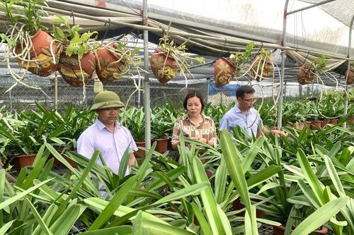 Phát huy vai trò của Hội Nông dân
