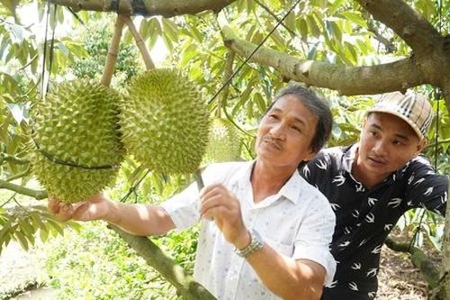 Sức bật mới từ kinh tế hợp tác giúp nông thôn mới Cẩm Mỹ vươn tầm cao