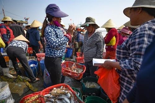 Giảm nghèo ở xã ven biển có nhiều cái nhất