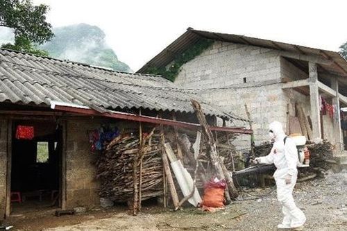 Cảnh giác với biến chứng khôn lường của bệnh bạch hầu