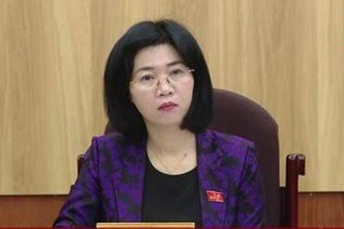 Thường trực HĐND TP giải quyết vụ việc tại thị trấn Phùng