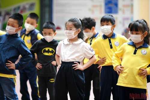 Ngành sư phạm tiểu học thi khối nào?