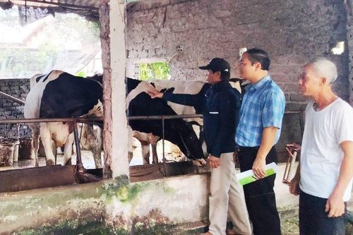 Đẩy mạnh phát triển kinh tế vùng núi Ba Vì