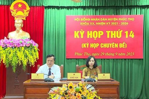 Phúc Thọ đề xuất giảm kế hoạch đấu giá đất từ 1.304 tỷ xuống còn 904 tỷ đồng
