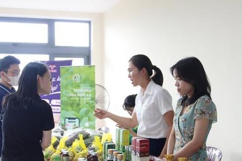 Đà Nẵng: Chưa nhiều dự án khởi nghiệp được tiếp nhận vốn đầu tư nước ngoài