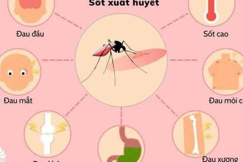 Tại sao sốt xuất huyết gây đau nhức cơ thể dữ dội, làm thế nào để giảm đau?