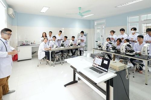 6 trường của Việt Nam lọt vào bảng xếp hạng đại học tốt nhất thế giới 2024