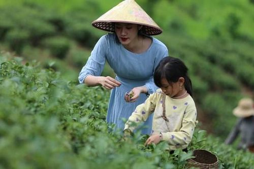 Cú hích cho du lịch nông nghiệp