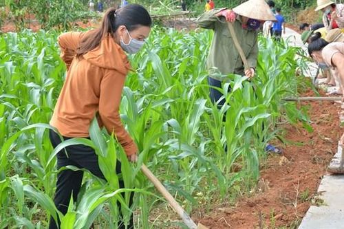 Nâng cao chỉ số hạnh phúc cho người dân
