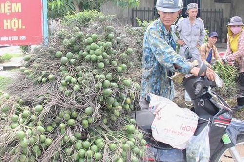 Cau mất giá, nhà vườn lo lắng