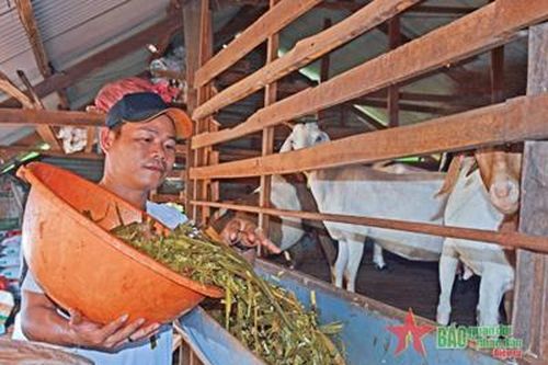 Đa dạng sinh kế cho người dân