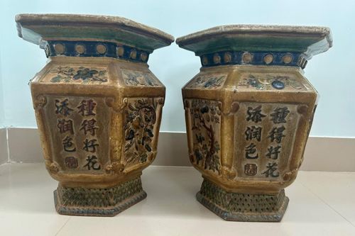 Đạo chích chôm chậu cổ