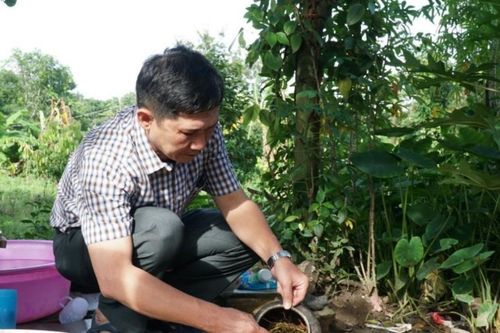 Phát hiện thêm 1 ca mắc viêm não Nhật Bản tại Đắk Lắk