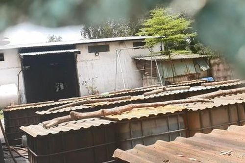 Thâm nhập đường dây tái chế dầu thải, Bài cuối: Nhiều tổ hợp lớn ngang nhiên tồn tại