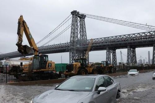 New York: Mưa lớn gây ngập lụt diện rộng, sư tử biển xổng chuồng trong sở thú