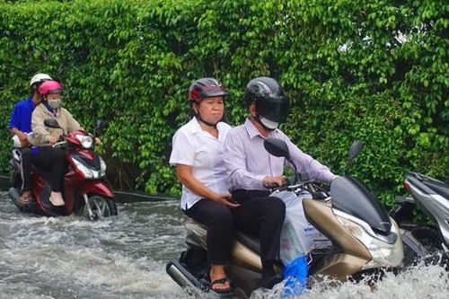 TPHCM khẩn trương ứng phó với đợt triều cường vượt báo động III