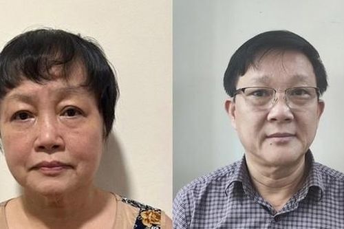 Bắt cựu Phó giám đốc Sở KH&ĐT TPHCM