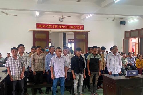 Phá rừng lấy đất trồng keo, 27 bị cáo lĩnh án