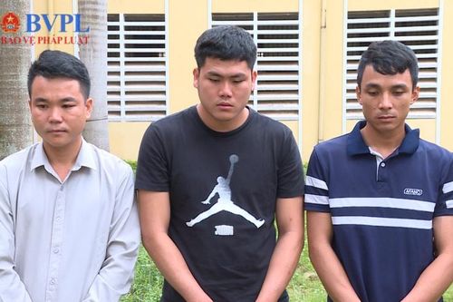 Bắt giữ 3 đối tượng tổ chức cho người khác nhập cảnh trái phép