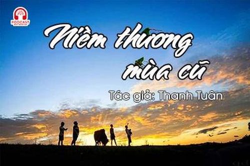 Tản văn hay: Niềm thương mùa cũ