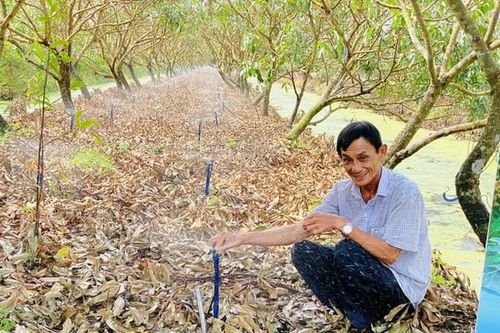 'Nông dân xuất sắc Việt Nam' thành công với nhãn Ido nghịch vụ