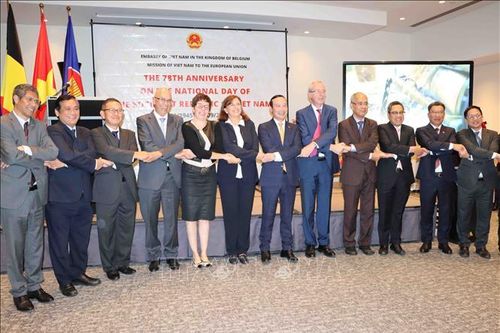 Việt Nam là hình mẫu hợp tác thành công của EU với khu vực Ấn Độ Dương - Thái Bình Dương