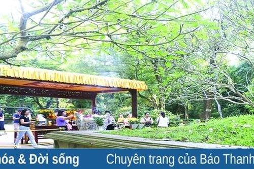 Mùa thu đất trời - mùa thu Lam Kinh