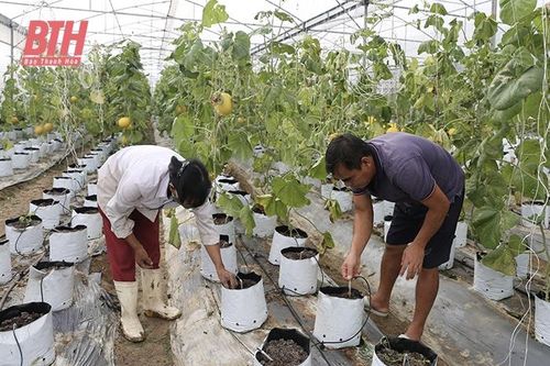 Ứng dụng công nghệ tưới tiết kiệm nước trong sản xuất nông nghiệp