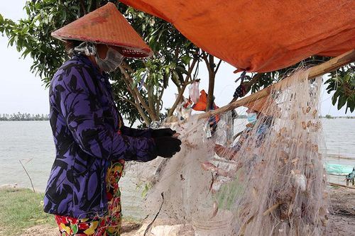 Nhịp sống mùa nước nổi