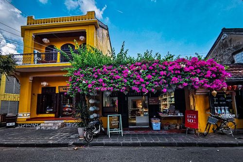 Hoa giấy phố Hội