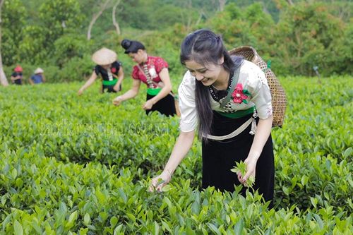 Tiềm năng phát triển du lịch sinh thái