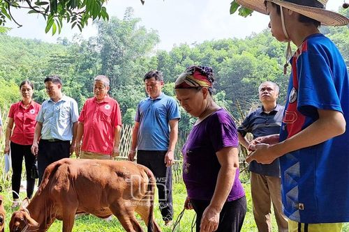 Trao sinh kế giúp người dân thoát nghèo