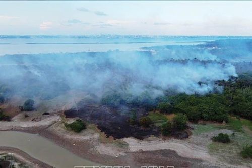 Bộ trưởng Brazil thành lập lực lượng đặc nhiệm ứng phó với hạn hán chưa từng có ở Amazon