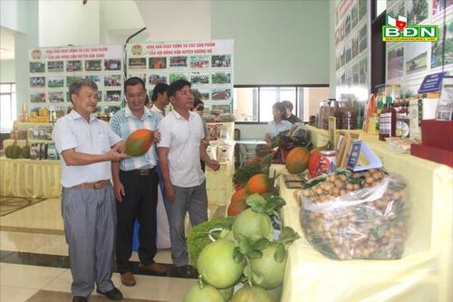 Đắk Nông: Nông dân làm chủ nông nghiệp sau nhiệm kỳ 2018 - 2023